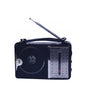 Tecsonic Radio – TSR81