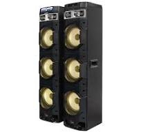 POLYTRON Bluetooth Speaker  10DF38